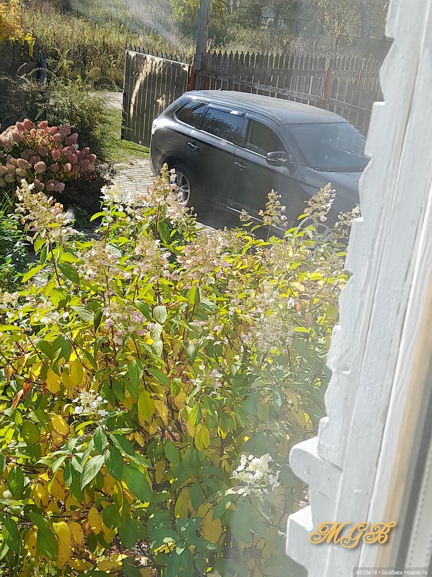 Что нам подарила осень — Разные шарнирные куклы (не БЖД): редкие