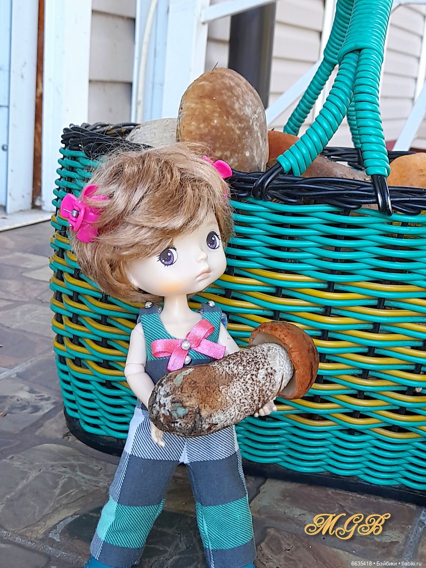 Что нам подарила осень — Разные шарнирные куклы (не БЖД): редкие