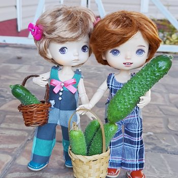 Что нам подарила осень?