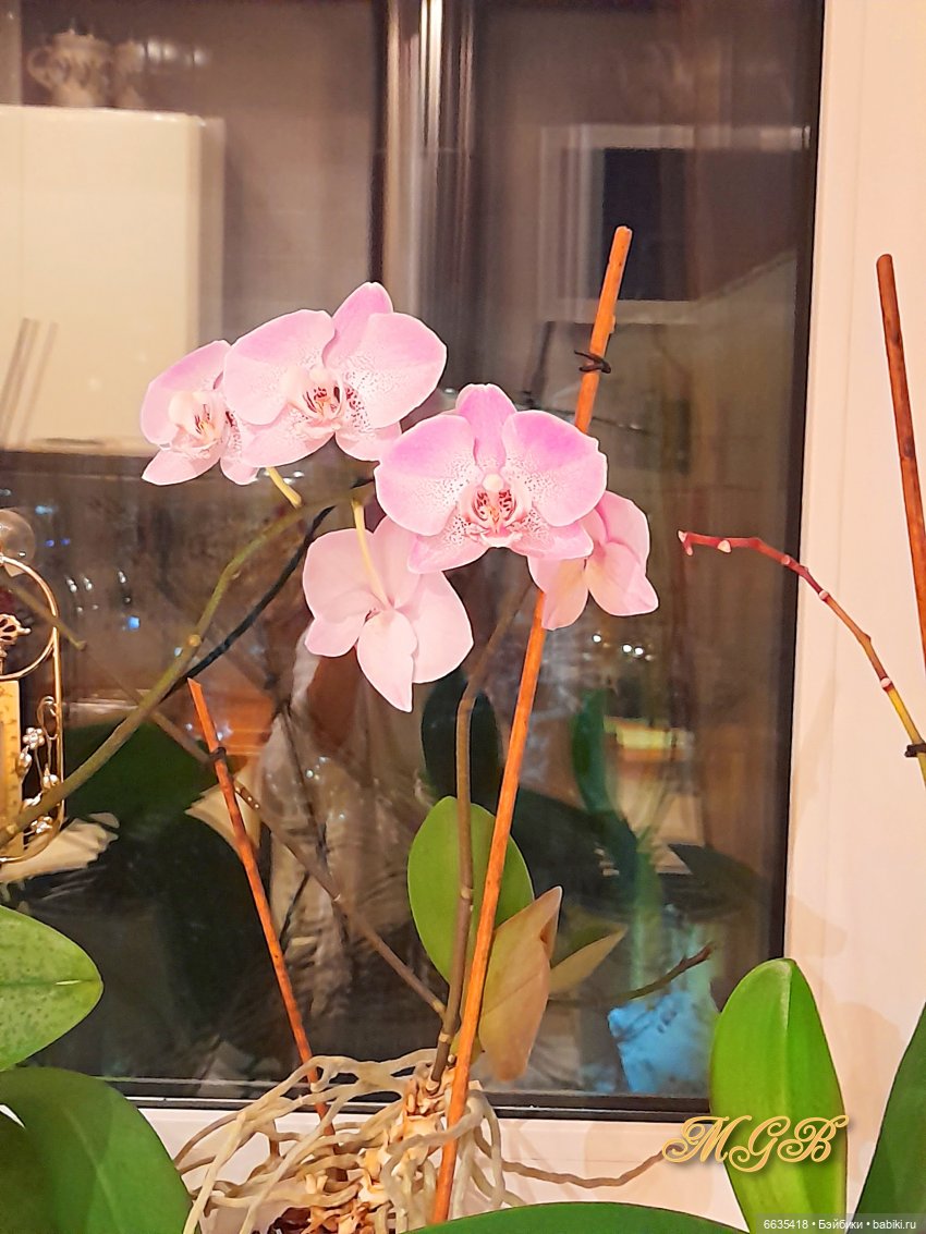 Вот такой у нас весёлый хоровод