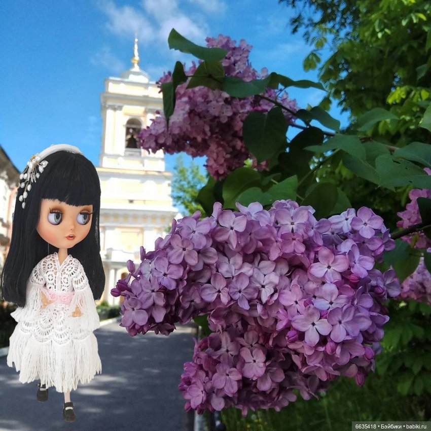 Когда цветёт сирень — Куклы Blythe (Блайз) ООАК: кастом (фото 9)