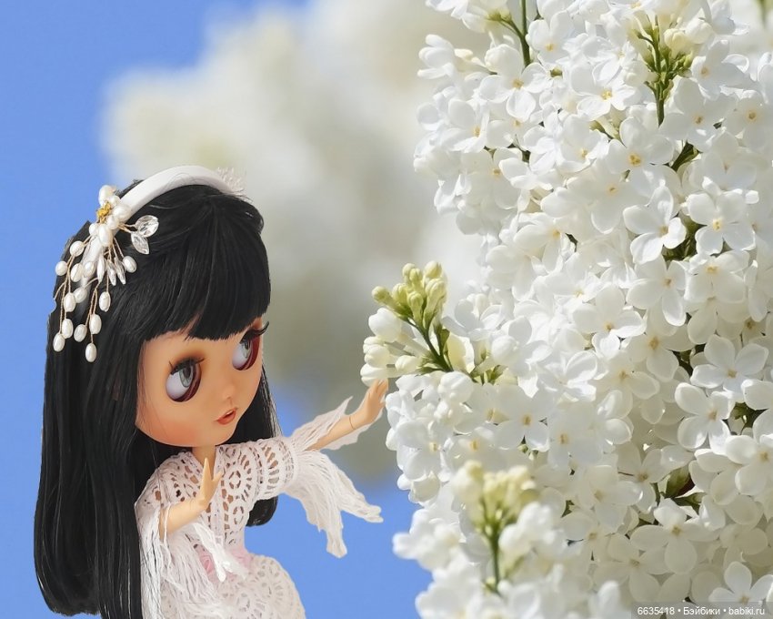 Когда цветёт сирень — Куклы Blythe (Блайз) ООАК: кастом