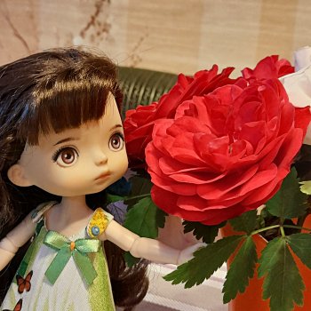 Поговорим о цветах