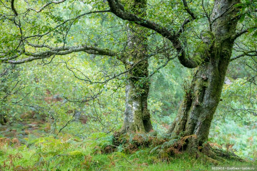 Создаём фоны для фотосъёмки самостоятельно. Часть 2