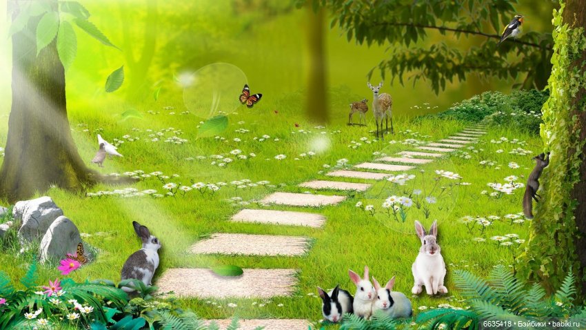 Создаём фоны для фотосъёмки самостоятельно. Часть 2