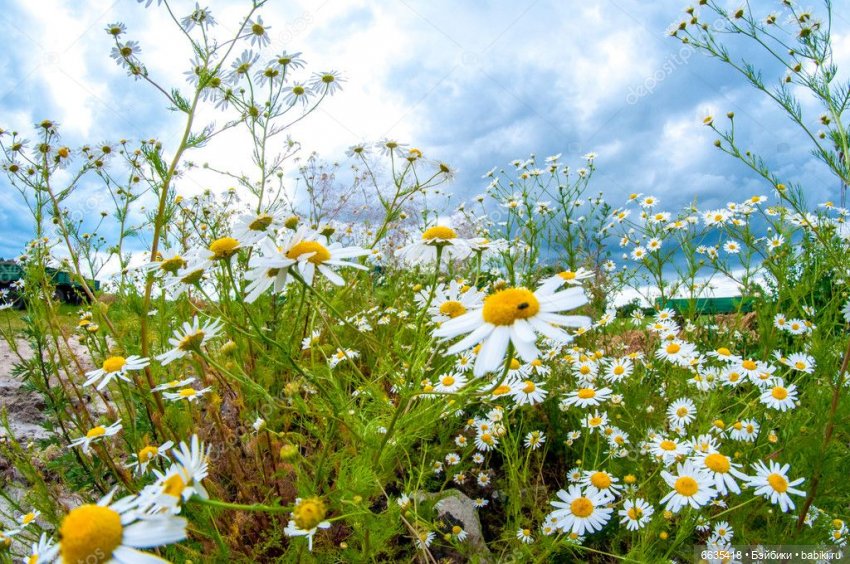 Создаём фоны для фотосъёмки самостоятельно. Часть 2