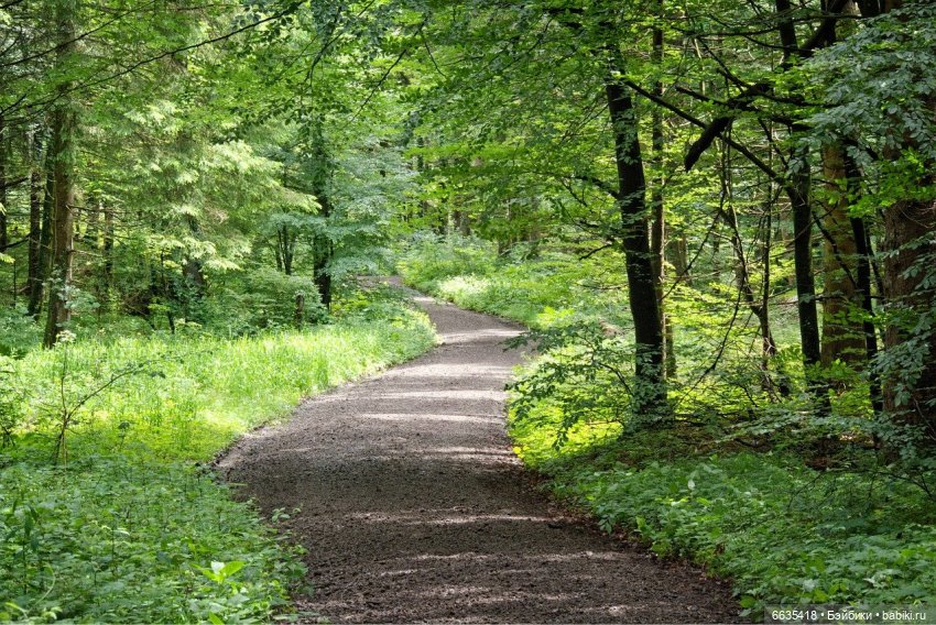 Создаём фоны для фотосъёмки самостоятельно. Часть 2 (фото 10)