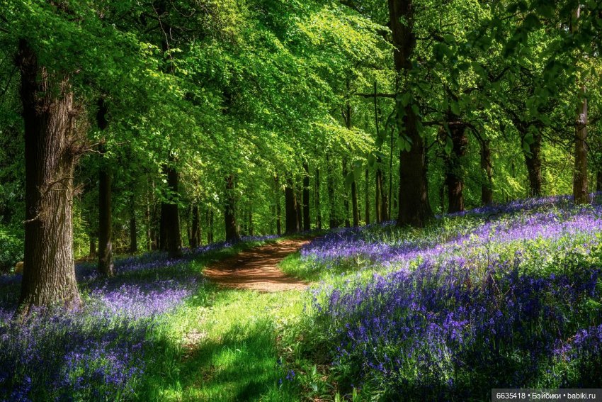 Создаём фоны для фотосъёмки самостоятельно. Часть 2