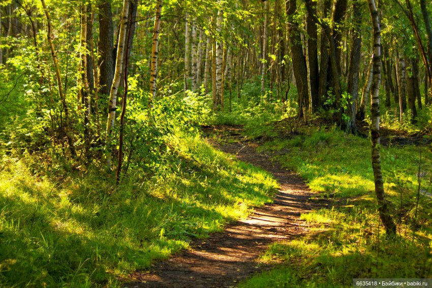 Создаём фоны для фотосъёмки самостоятельно. Часть 2 (фото 9)