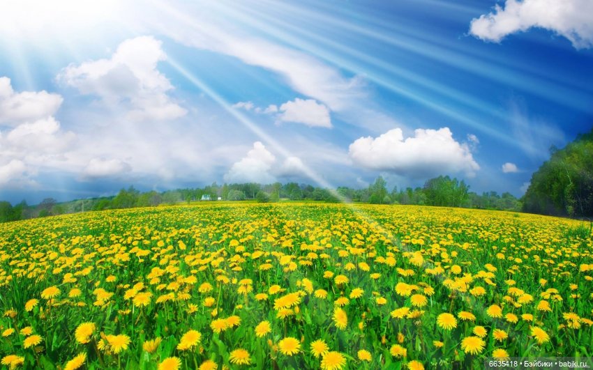 Создаём фоны для фотосъёмки самостоятельно. Часть 2