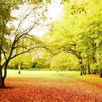 Создаём фоны для фотосъёмки самостоятельно. Часть 2.