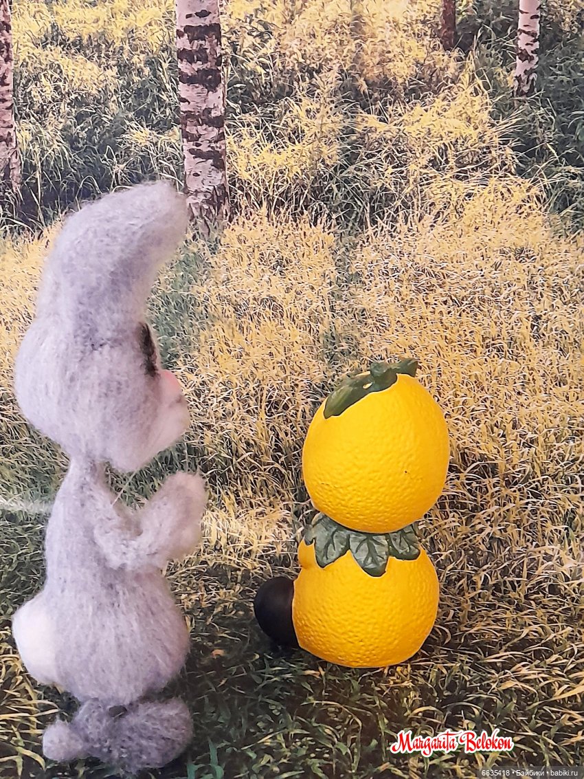 Лимон – не колобок — Домашние фото авторских кукол: личные коллекции