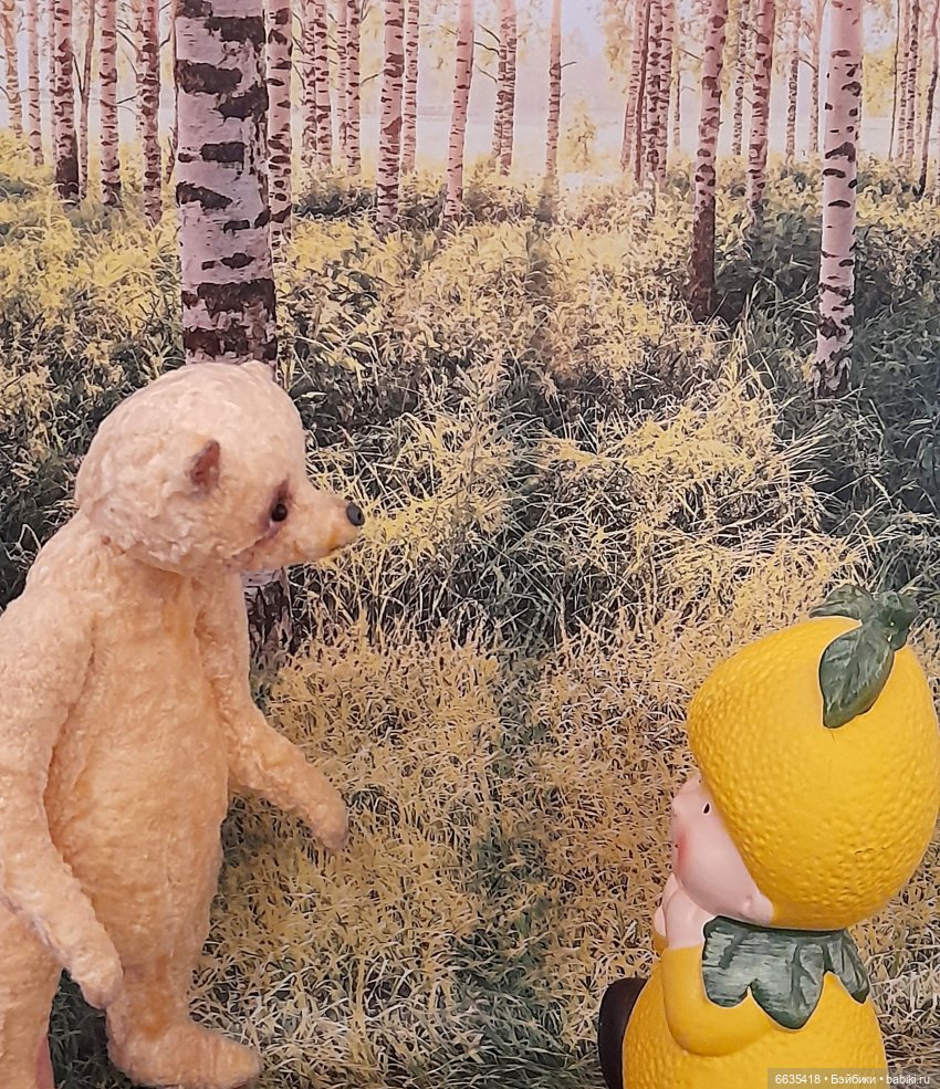 Лимон – не колобок — Домашние фото авторских кукол: личные коллекции