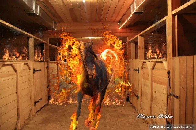 Всё хорошо, прекрасная маркиза (фото 9)