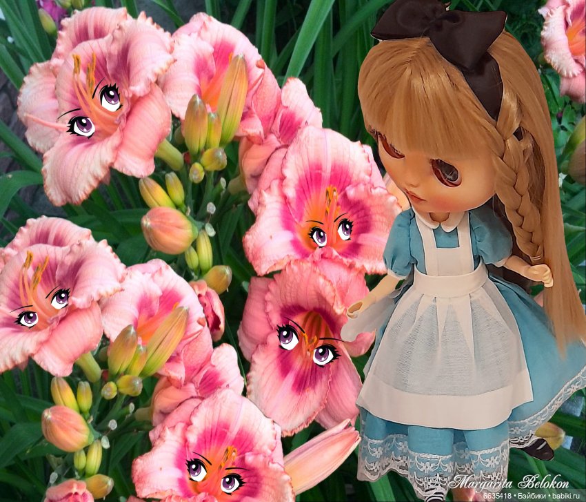 Из зимы в лето — Коллекции игровых кукол (Playline): фото полок