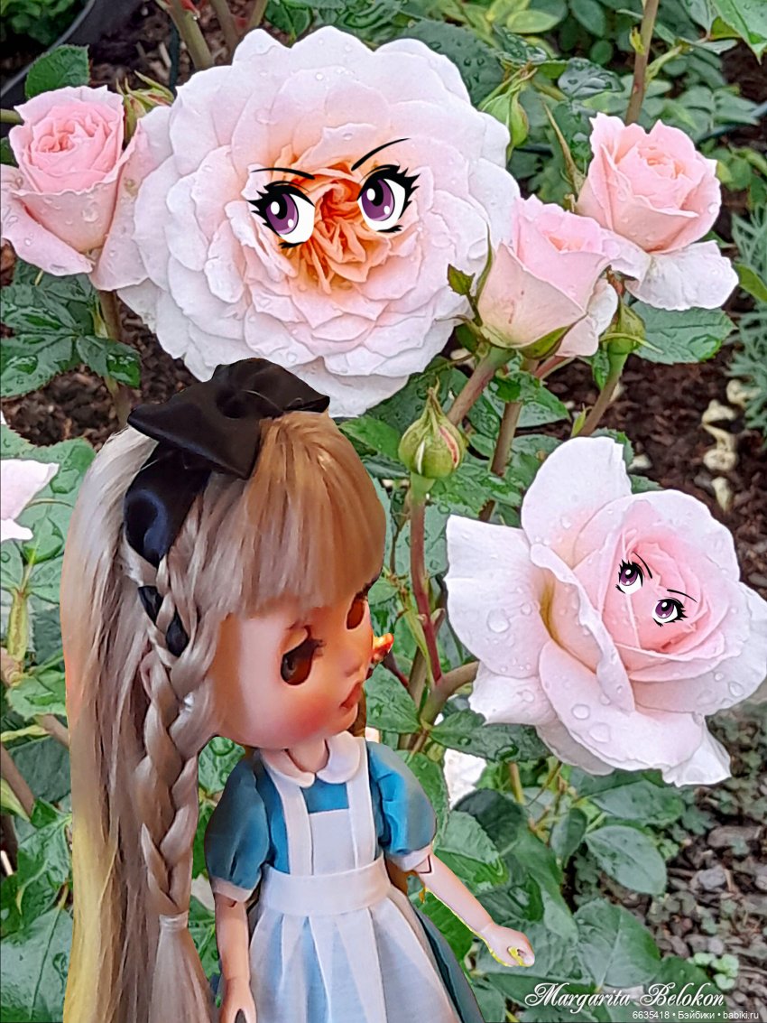 Из зимы в лето — Коллекции игровых кукол (Playline): фото полок