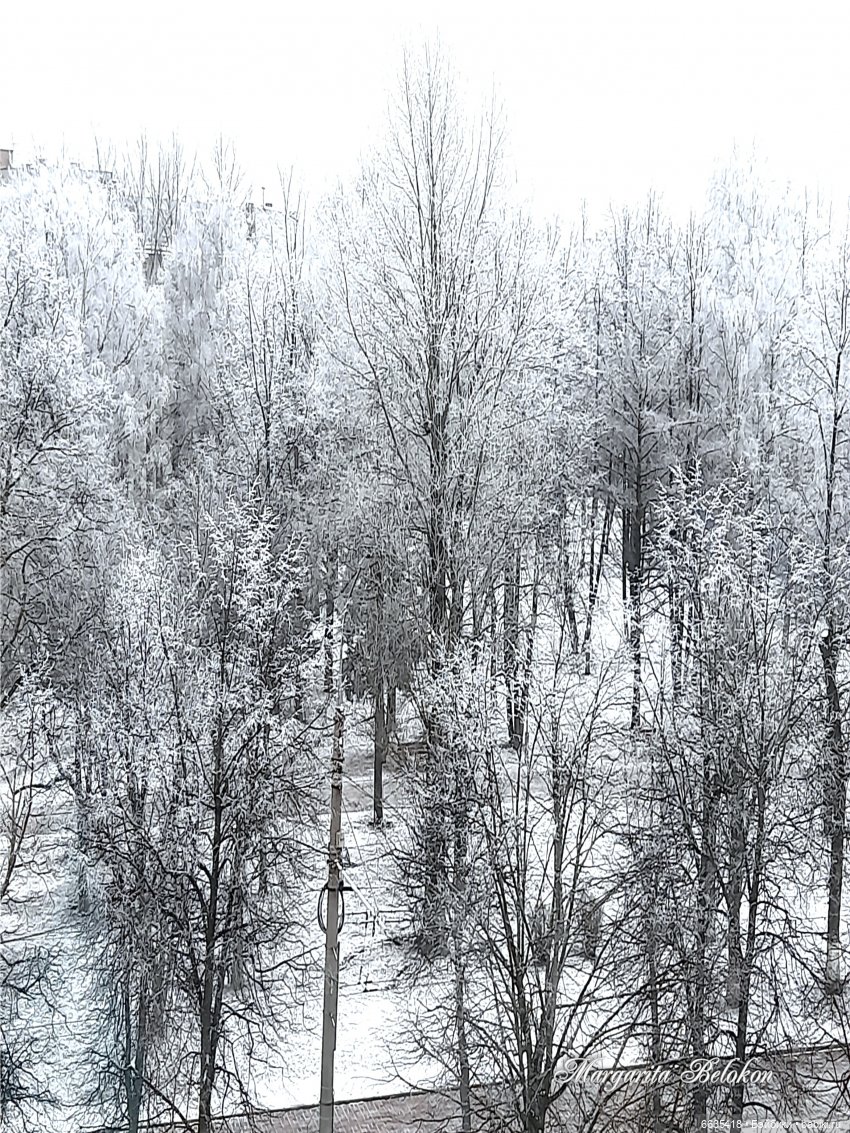 Из зимы в лето — Коллекции игровых кукол (Playline): фото полок