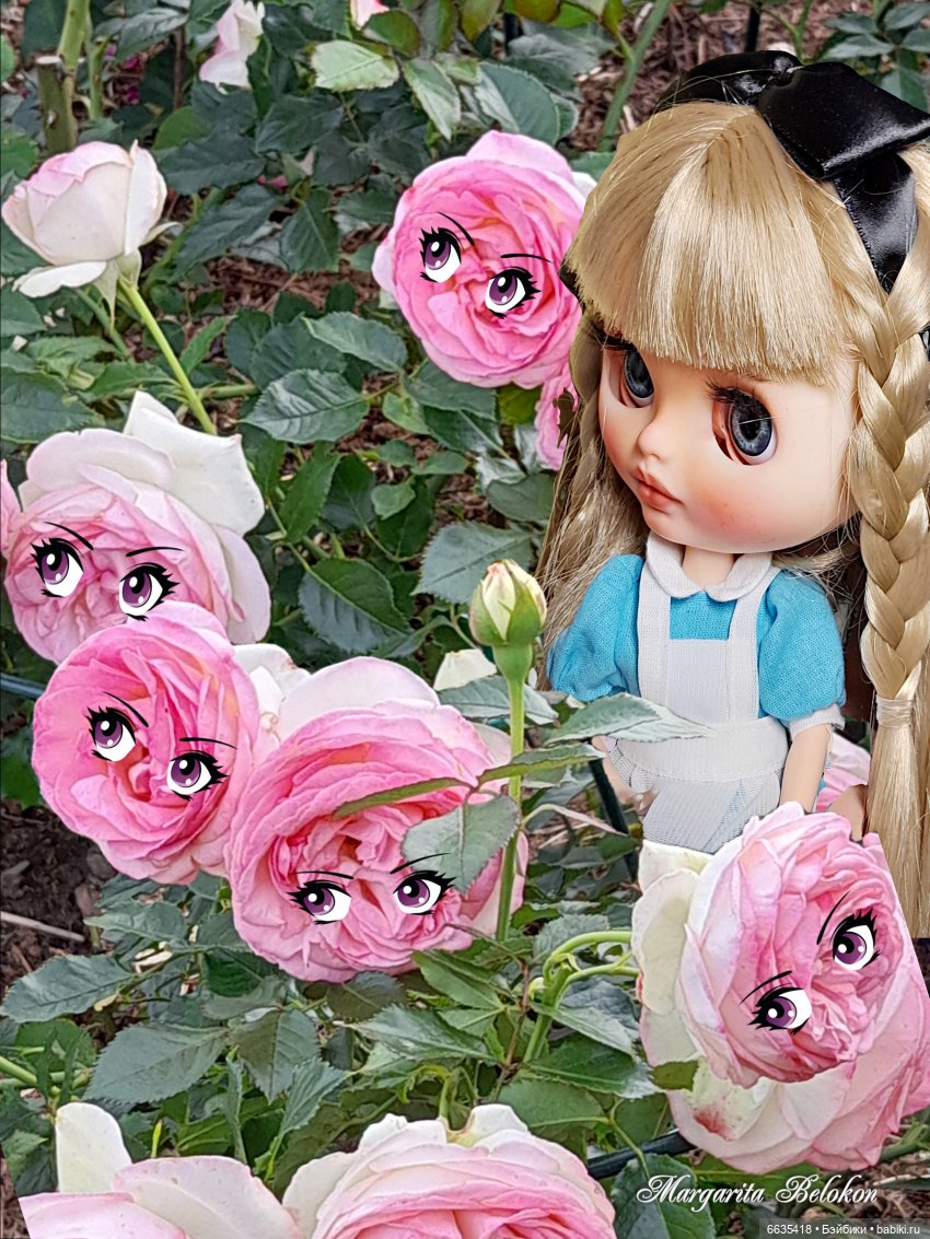 Из зимы в лето — Коллекции игровых кукол (Playline): фото полок