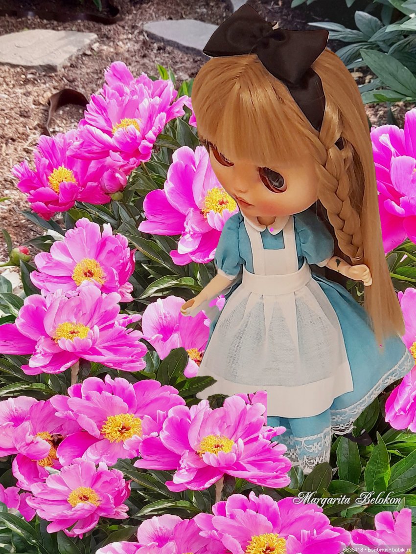 Из зимы в лето — Коллекции игровых кукол (Playline): фото полок (фото 7)