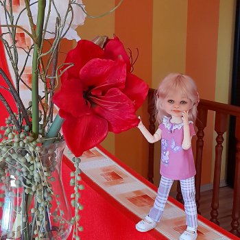 Мой маленький исследователь большого мира