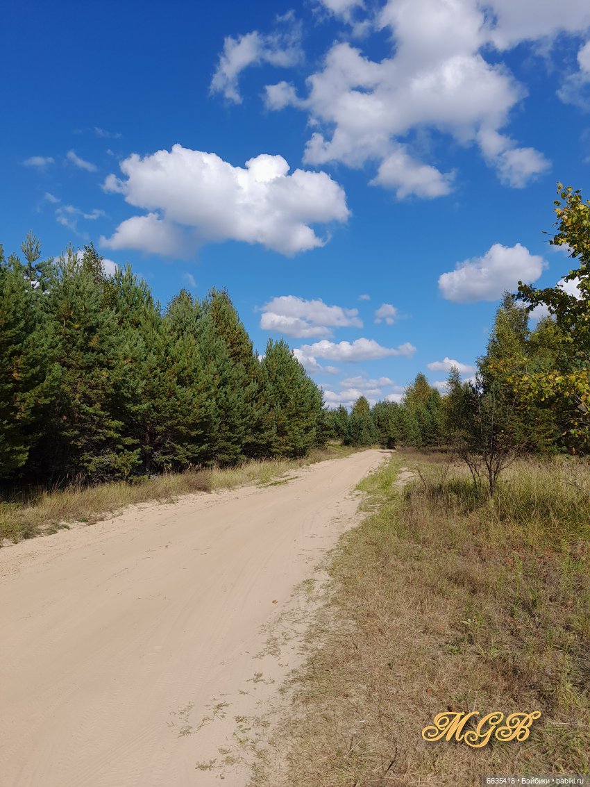 О любви к природе — Разные шарнирные куклы (не БЖД): редкие