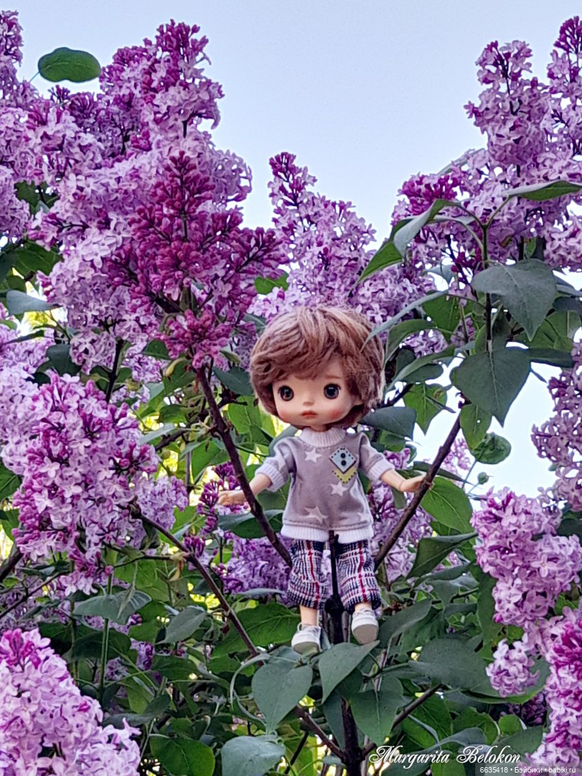 Майский сад глазами моих кукол