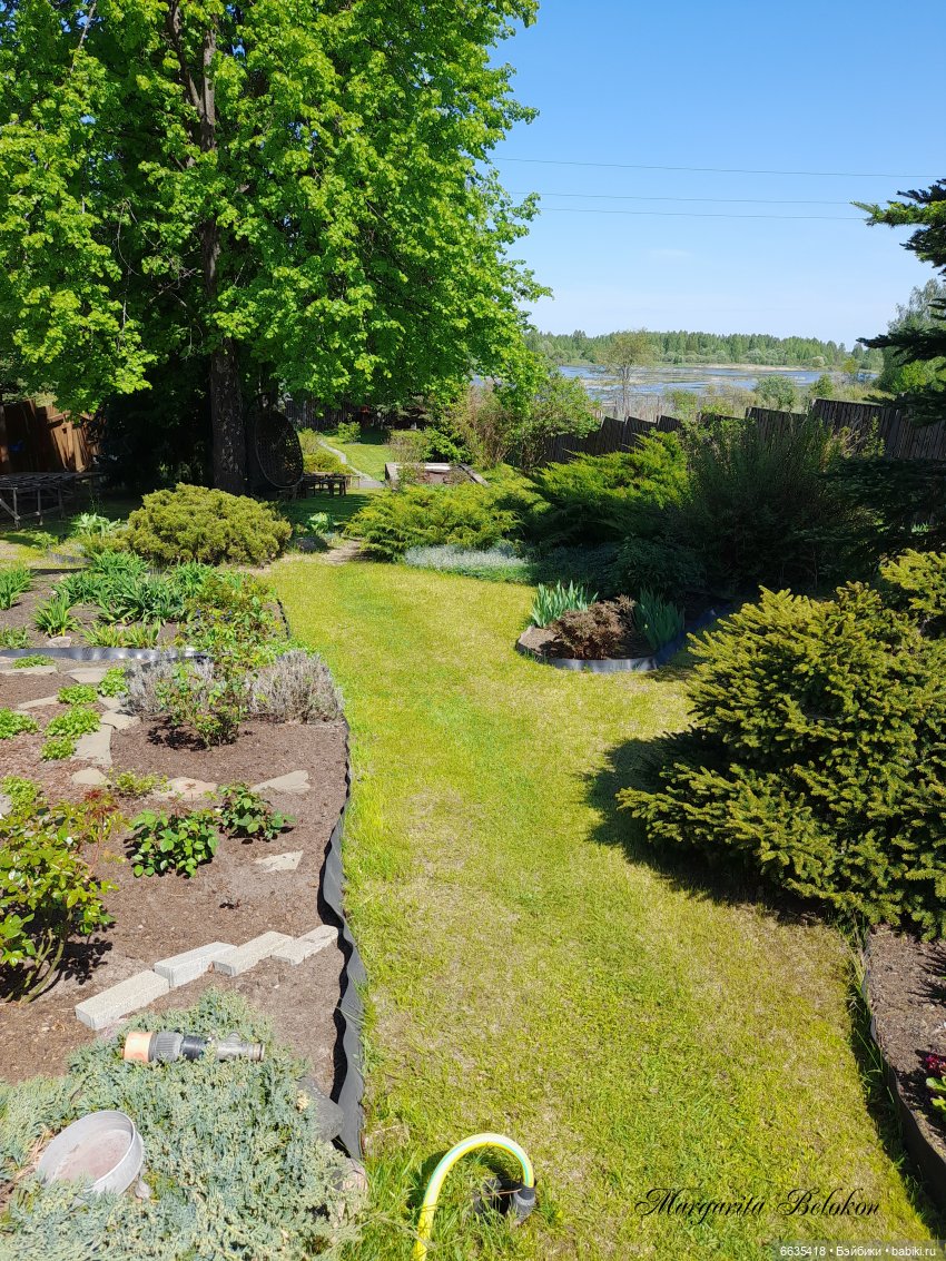 Майский сад глазами моих кукол