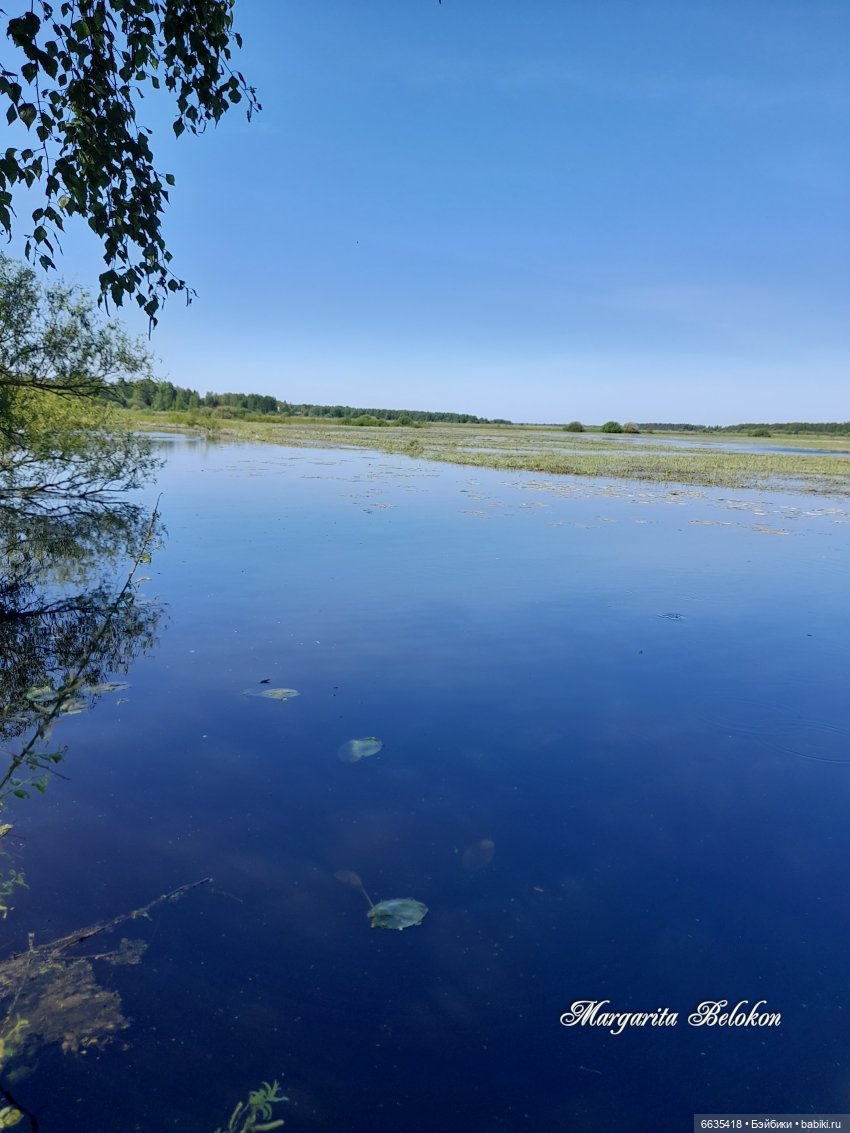 Майский сад глазами моих кукол