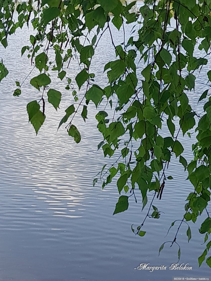 Майский сад глазами моих кукол