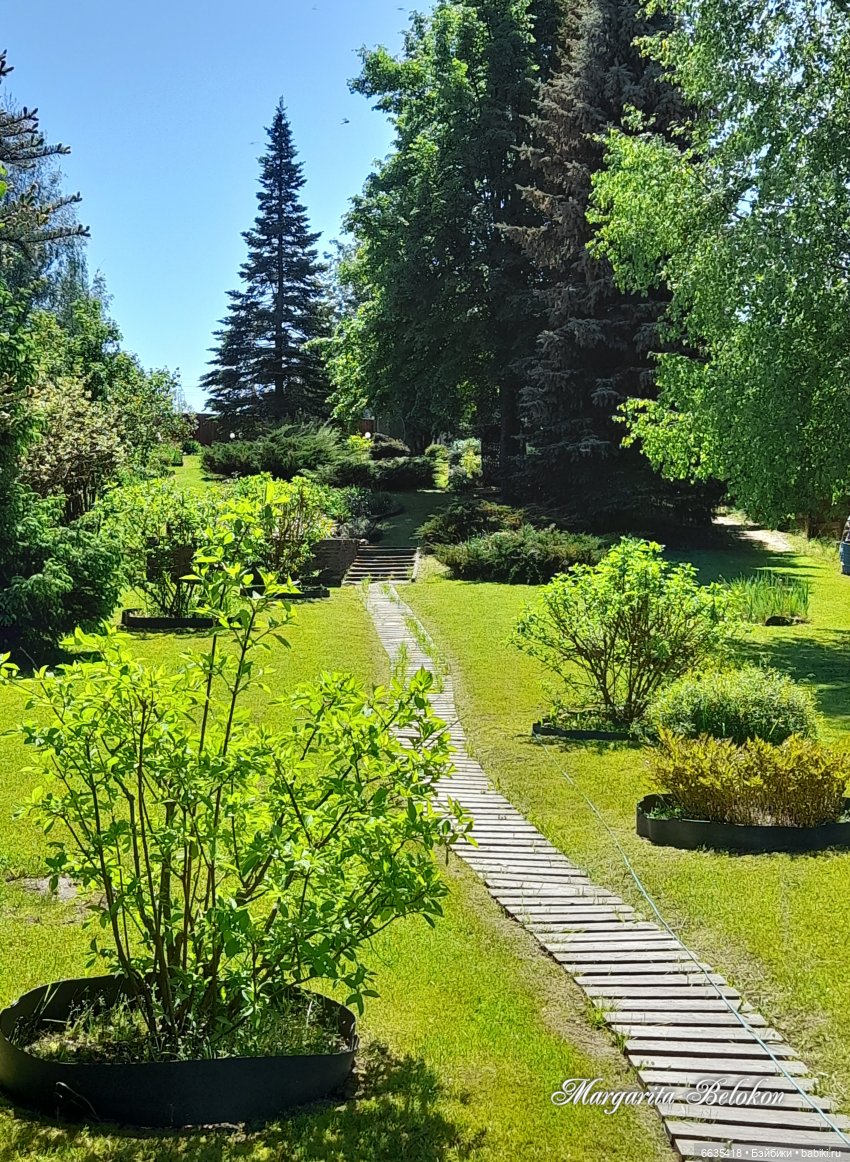 Майский сад глазами моих кукол