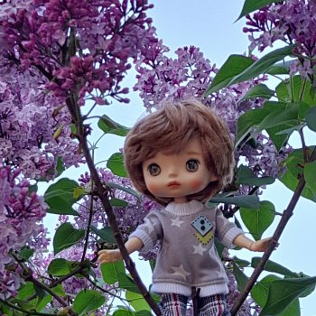 Майский сад глазами моих кукол