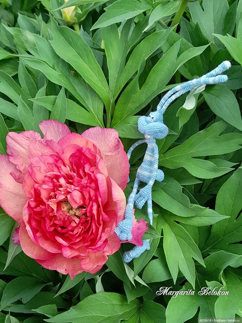 Плохие поступки огорчают – хорошие радуют