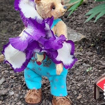 Плохие поступки огорчают – хорошие радуют