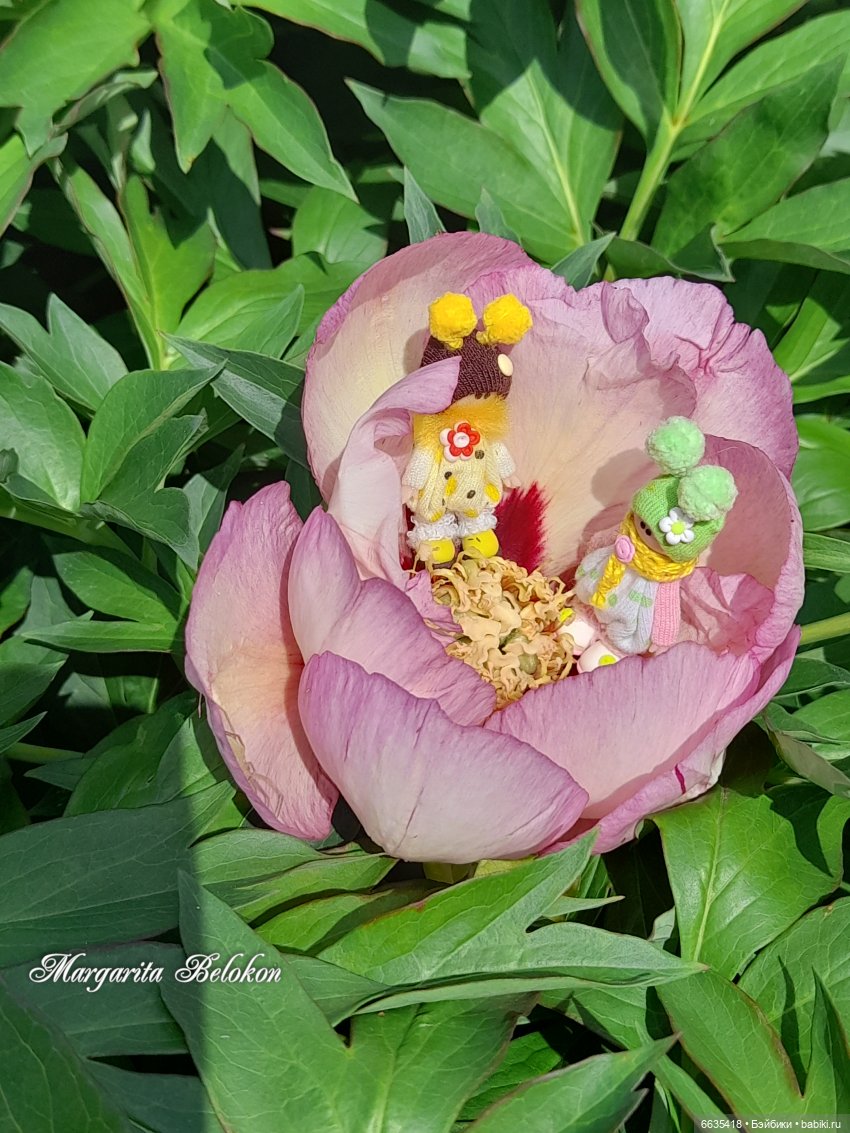 Первый день в саду — Домашние фото авторских игрушек: Тедди