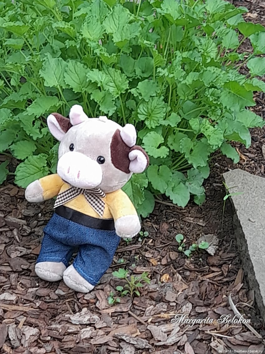 Первый день в саду — Домашние фото авторских игрушек: Тедди