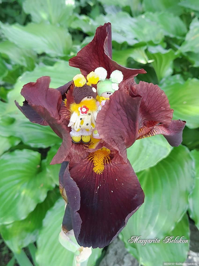 Первый день в саду — Домашние фото авторских игрушек: Тедди