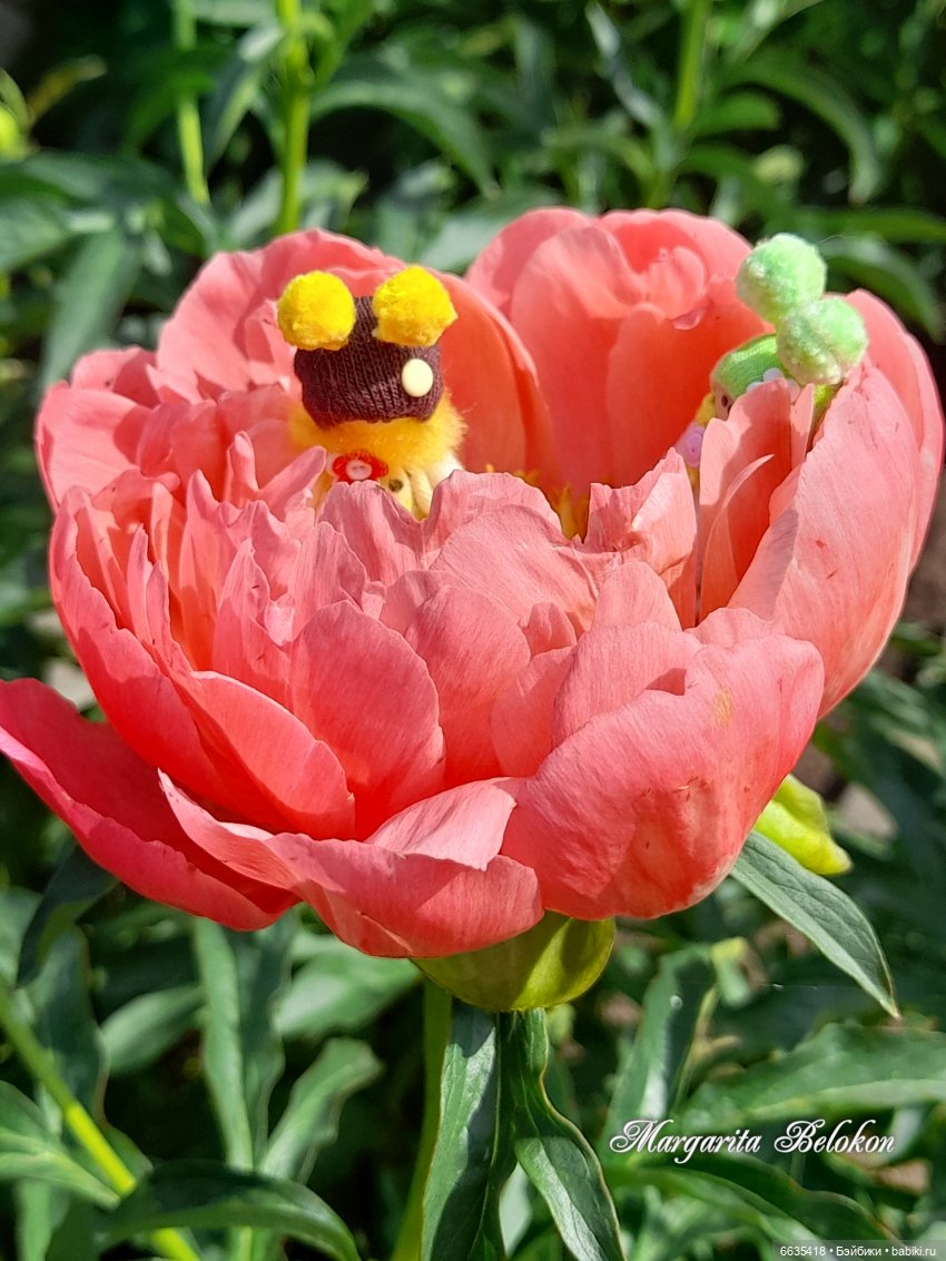 Первый день в саду — Домашние фото авторских игрушек: Тедди