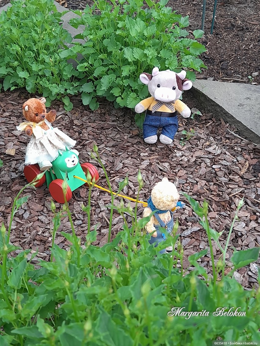 Первый день в саду — Домашние фото авторских игрушек: Тедди