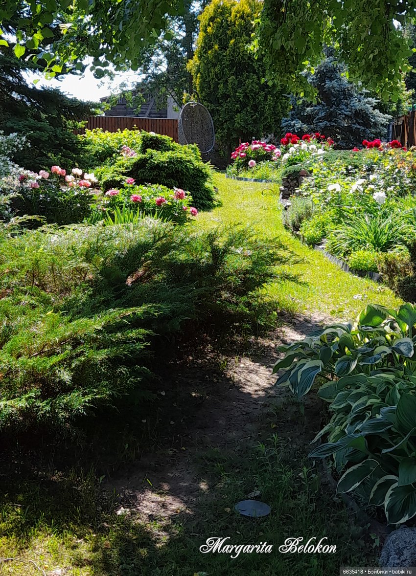 Первый день в саду — Домашние фото авторских игрушек: Тедди (фото 5)