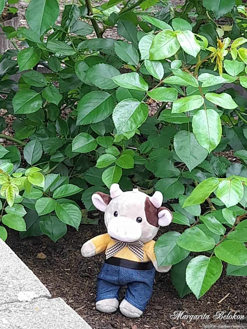 Первый день в саду — Домашние фото авторских игрушек: Тедди
