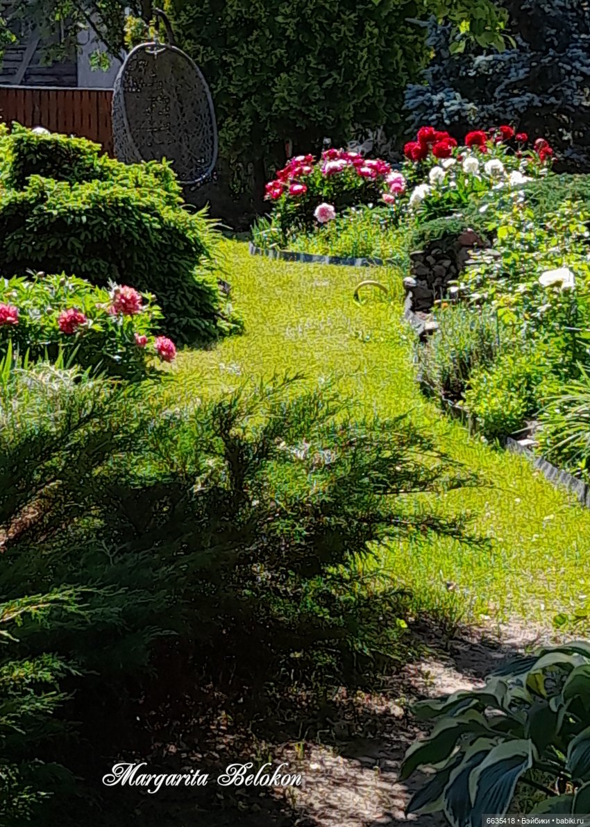 Первый день в саду — Домашние фото авторских игрушек: Тедди (фото 6)