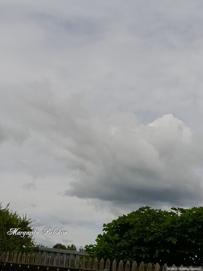 Дары природы в июле — Домашние фото авторских кукол: личные коллекции