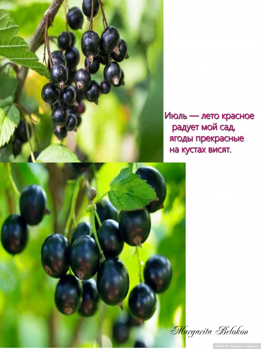 Дары природы в июле — Домашние фото авторских кукол: личные коллекции (фото 9)