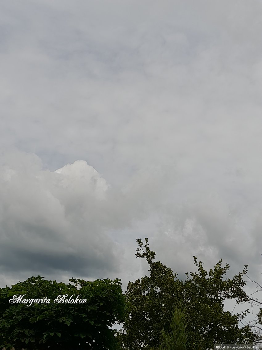 Дары природы в июле — Домашние фото авторских кукол: личные коллекции