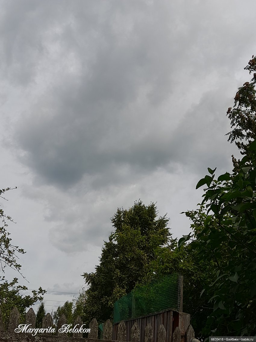 Дары природы в июле — Домашние фото авторских кукол: личные коллекции