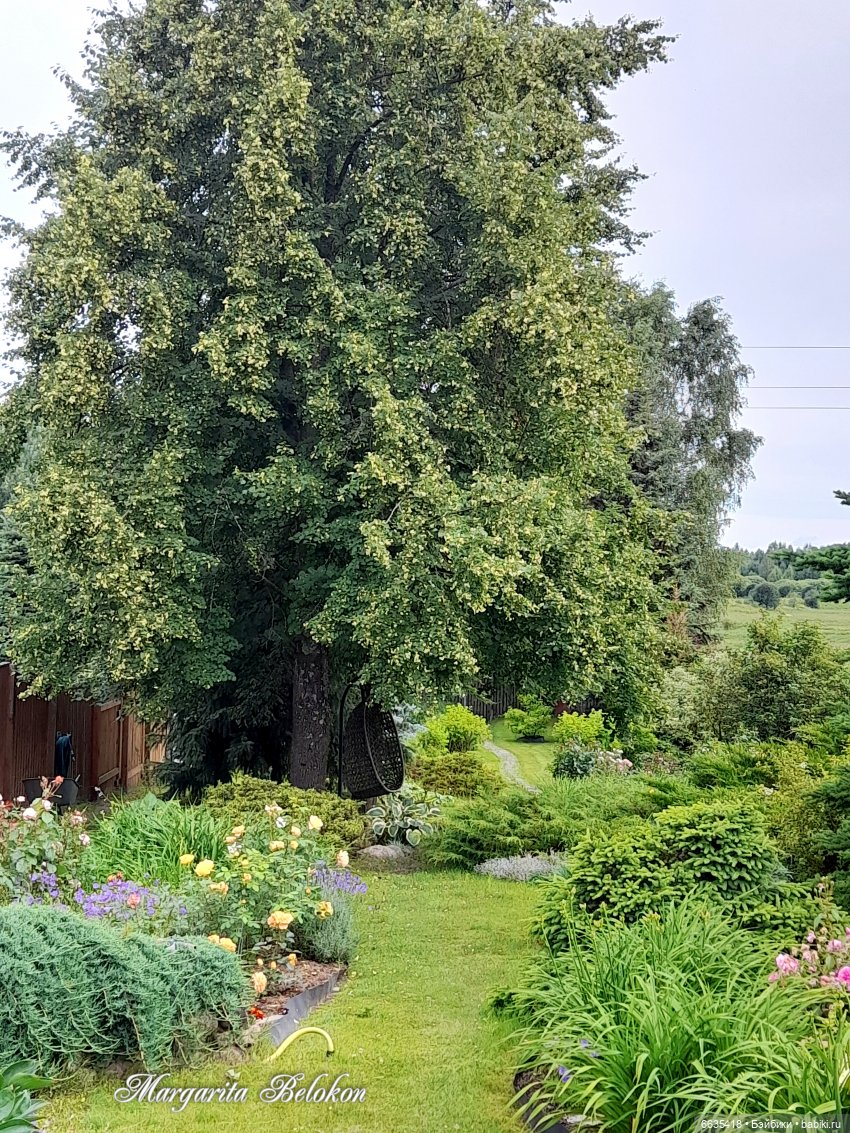 Маленькие, но очень трудолюбивые (фото 5)