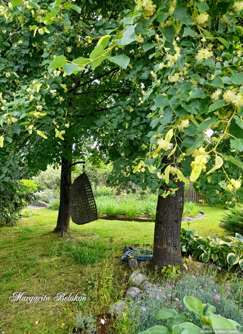 Маленькие, но очень трудолюбивые (фото 4)