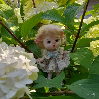 Парад цветов