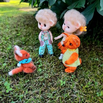 Прогулка с лисятами