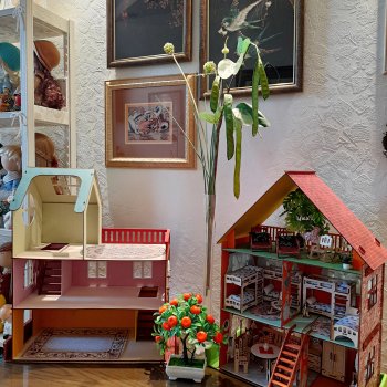 Кукольная зона